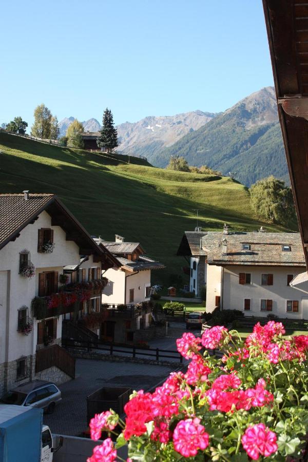 Chalet Stelvio Bormio Bagian luar foto
